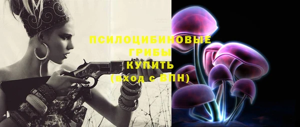 гидропоника Вязьма