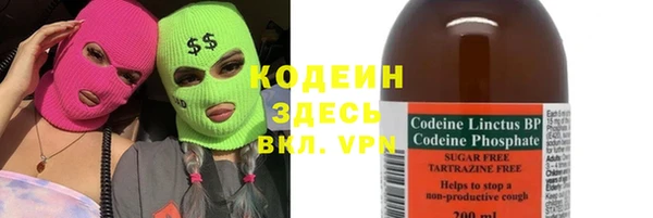 прущие грибы Вяземский