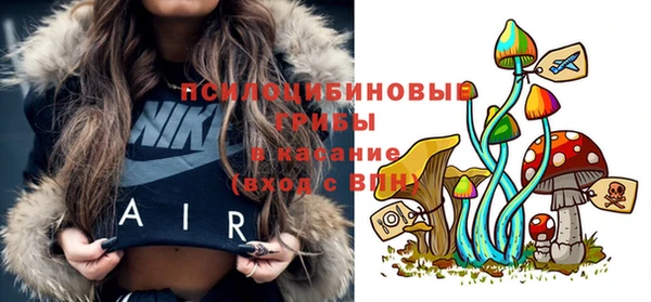 a pvp Володарск