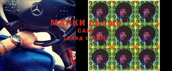 прущие грибы Вяземский