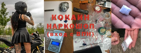 прущие грибы Вяземский