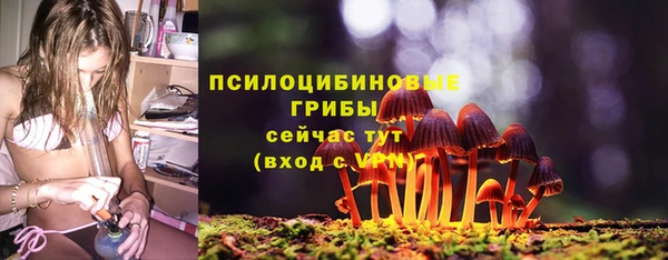 a pvp Володарск