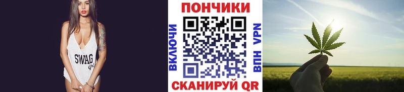 Купить где  Тогучин  Канабис ГИДРОПОН 